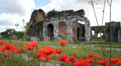 Dalle radici al futuro tra storia e territorio