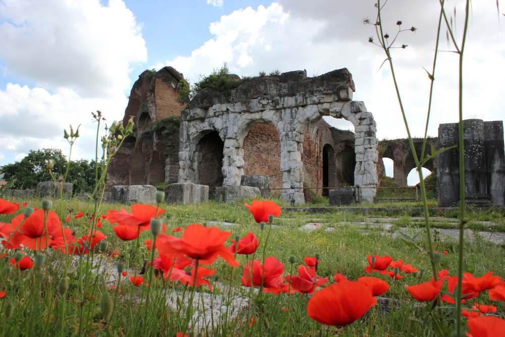 Dalle radici al futuro tra storia e territorio