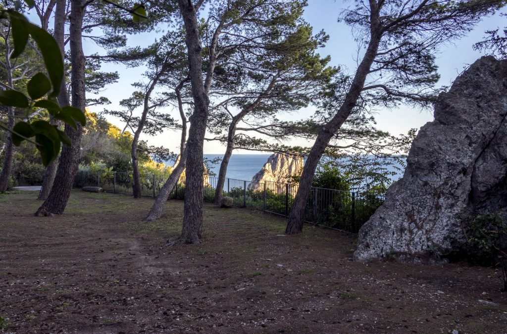 Dal 23 giugno riapre al pubblico il Parco della Certosa San Giacomo a Capri