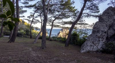 Dal 23 giugno riapre al pubblico il Parco della Certosa San Giacomo a Capri