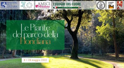 Le Piante del parco della Floridiana