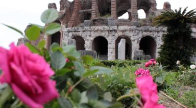 Celebriamo i “Rosalia”… tra stendardi, ghirlande e fragranze di rose e violette