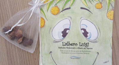 Il Museo per l’ambiente