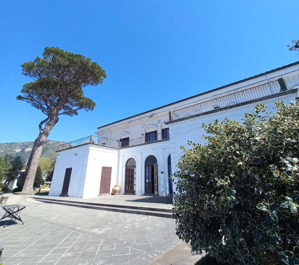 ArcheoAperiMusica