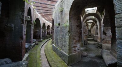 Domenica al Museo