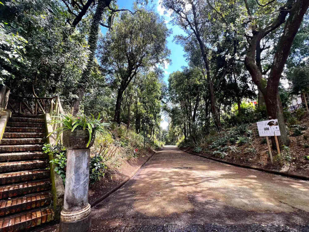 Villa Floridiana, riaperto l’ingresso di via Cimarosa