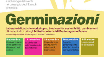 Disseminazioni. Indagini artistiche e archeologie del vivente nel paesaggio degli Etruschi di Frontiera | Germinazioni